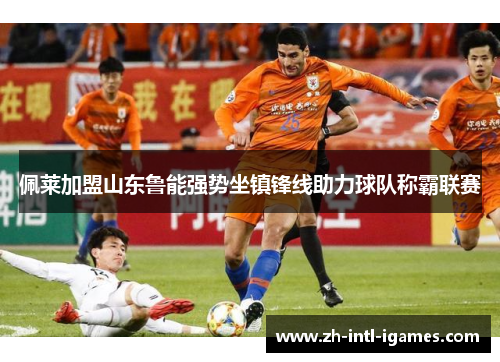 佩莱加盟山东鲁能强势坐镇锋线助力球队称霸联赛